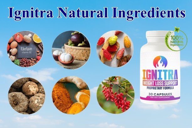 Ignitra Ingredients