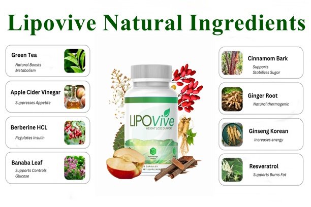 Lipovive Ingredients