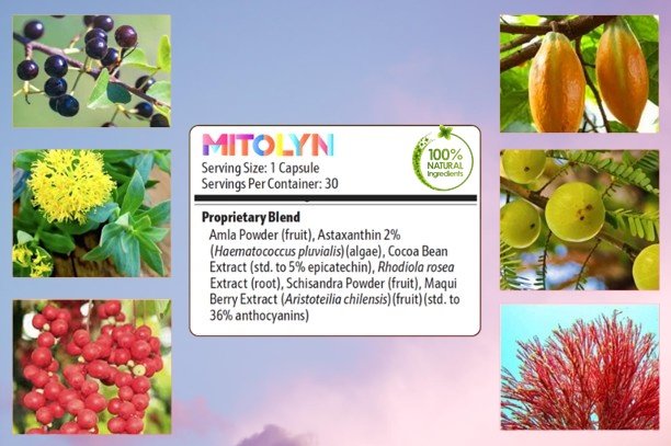 Mitolyn Ingredients