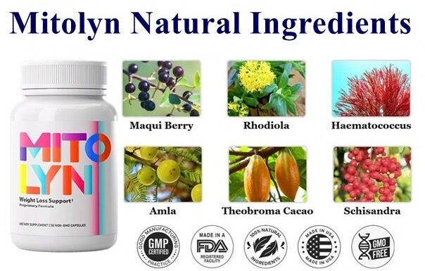 Mitolyn Ingredients