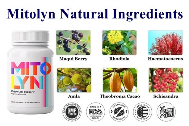 Mitolyn Ingredients