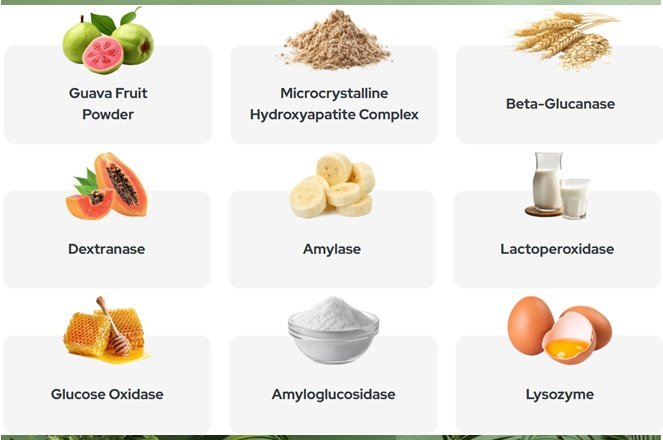 Synadentix Ingredients