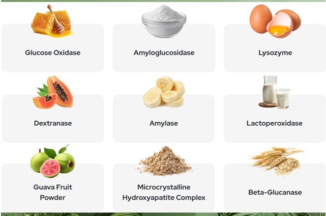 Synadentix Ingredients