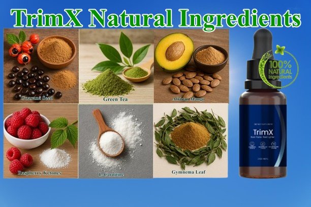 Trimx ingredients