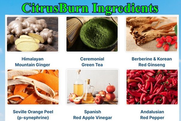 Citrusburn Ingredients