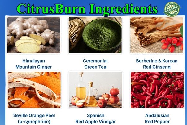 Citrusburn Ingredients